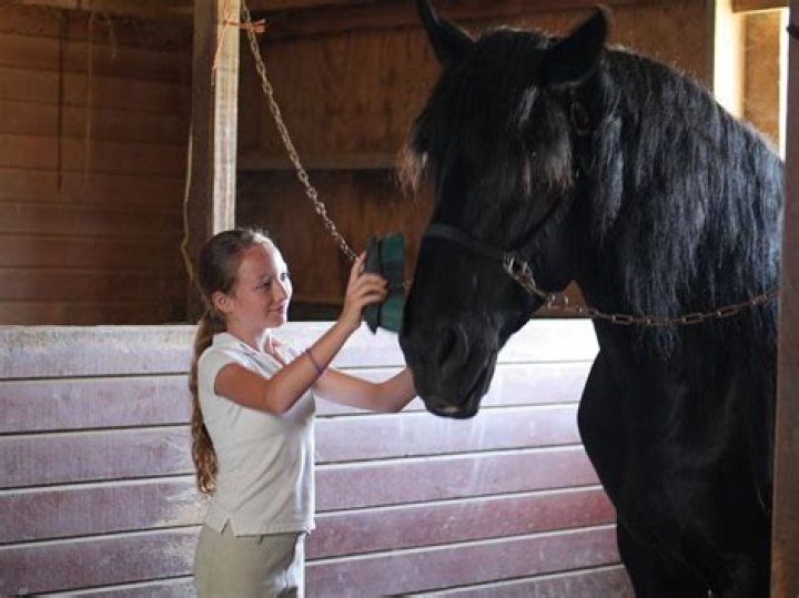 Alexis Rosinsky Net Worth