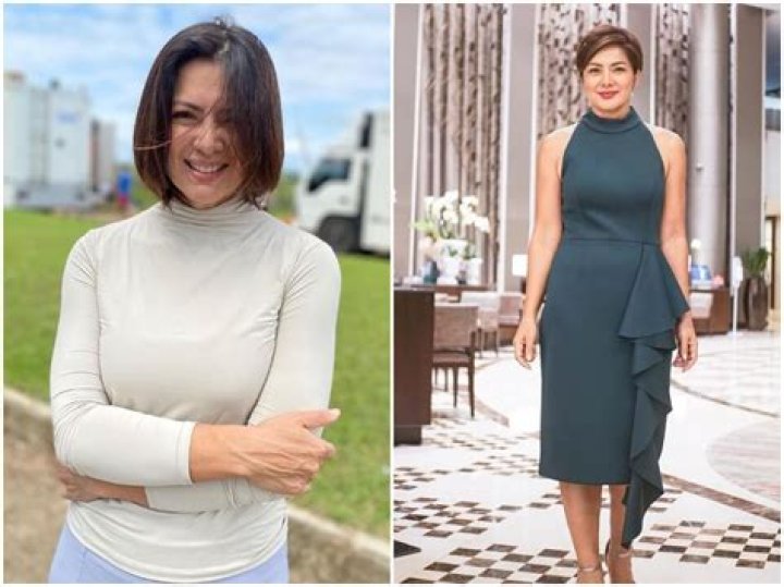 Alice Dixson Married, Datting, Boyfriend, Net Worth, Salary, Career, Wiki-Bio, Age, Height