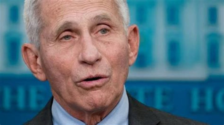 Anthony Fauci Net Worth: Details About Political, Income, Gf, Age, Career - SarkariResult