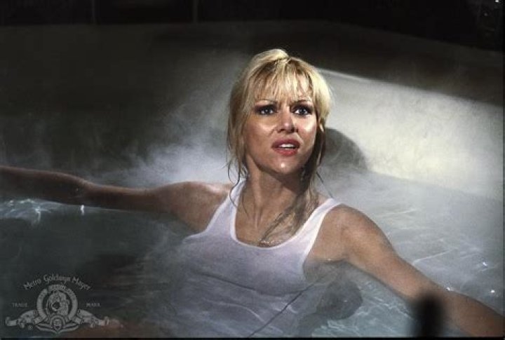 Ashley Ferrare Net Worth