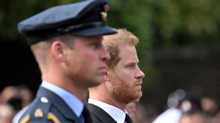 Charlize Diaz De Leon Net Worth