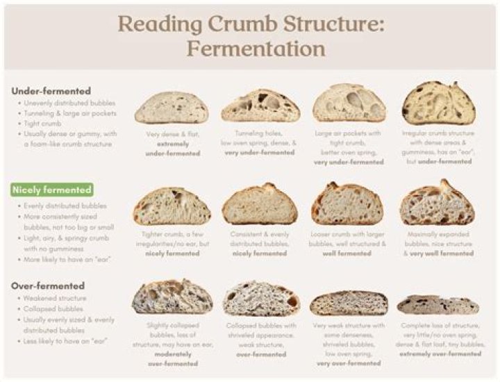 Crumb Age And Facts To Know: How Old is Crumb Twitch?