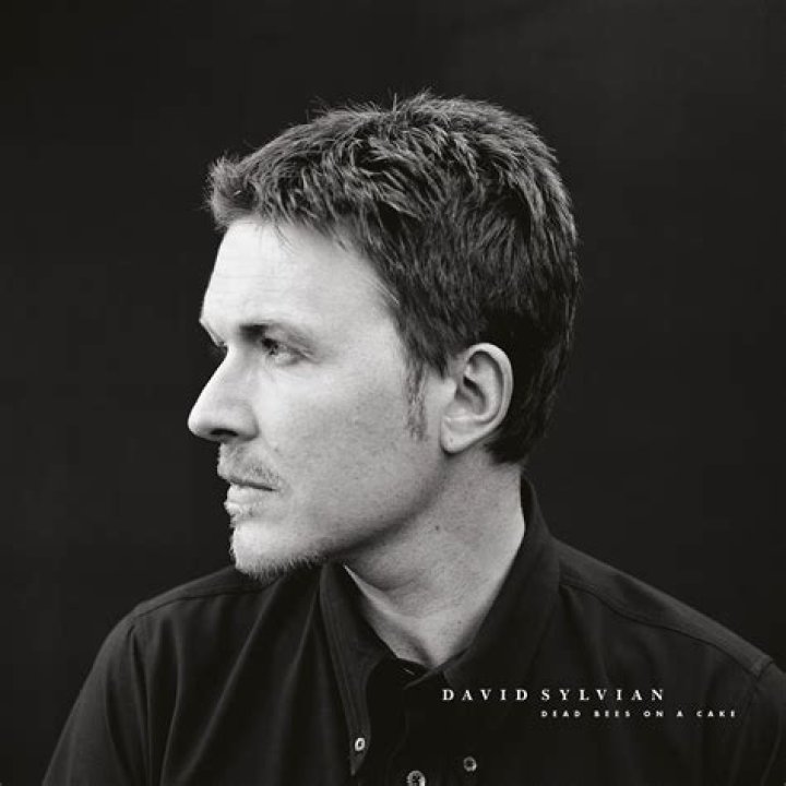 David Sylvian’s Net Worth, How Rich Is The English Musician And Singer?