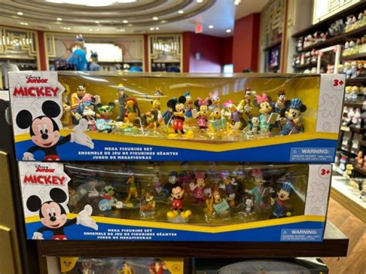 Disney Toy Collector Net Worth