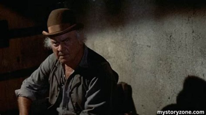 Dub Taylor Net Worth