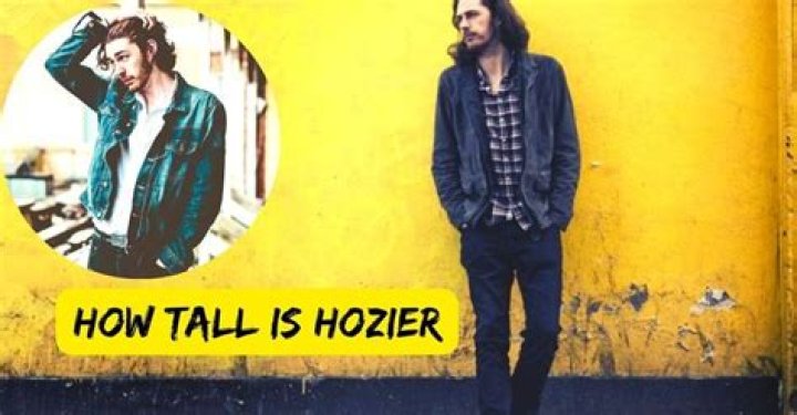 How Tall is Hozier? Hozier's Height Explained - SarkariResult