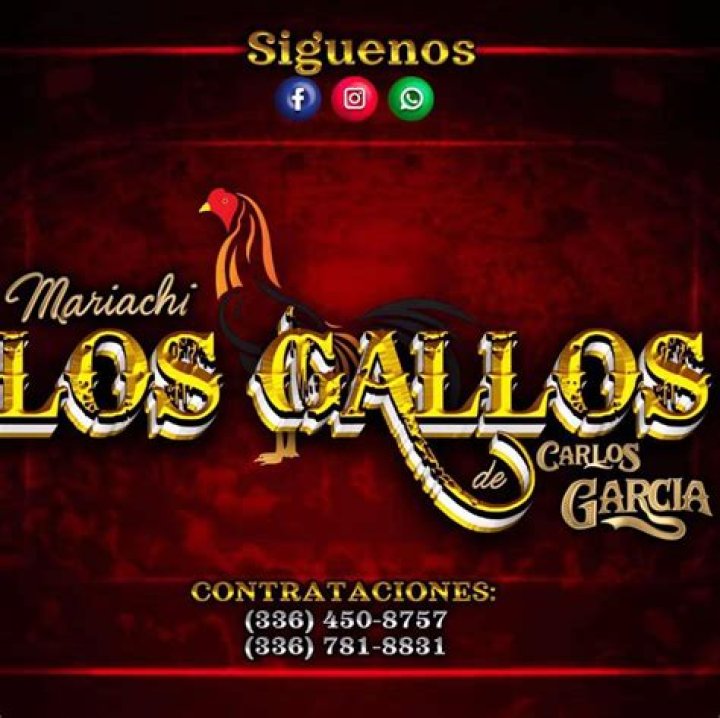 Mariachi Los Gallos Net Worth