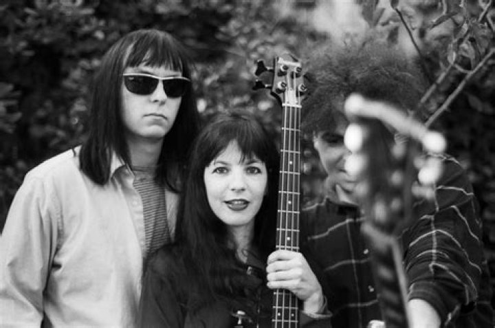 Melvins Net Worth