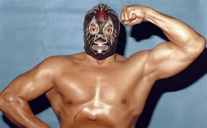 Mil Máscaras Net Worth