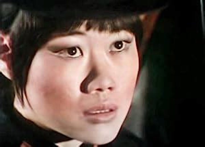 Pik Sen Lim Net Worth