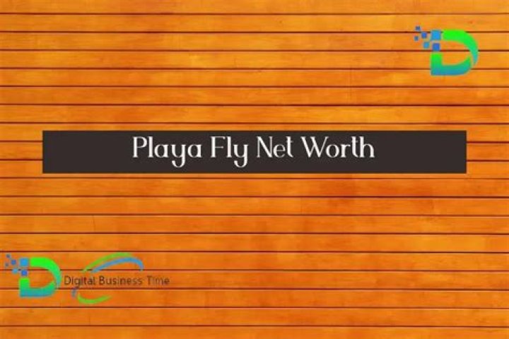 Playa Fly Net Worth