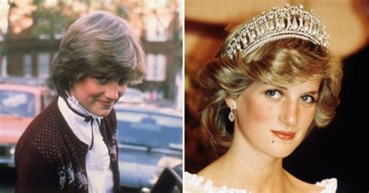 Princess Diana Net Worth: Details About Last, Died, Family, Parents, Word - SarkariResult