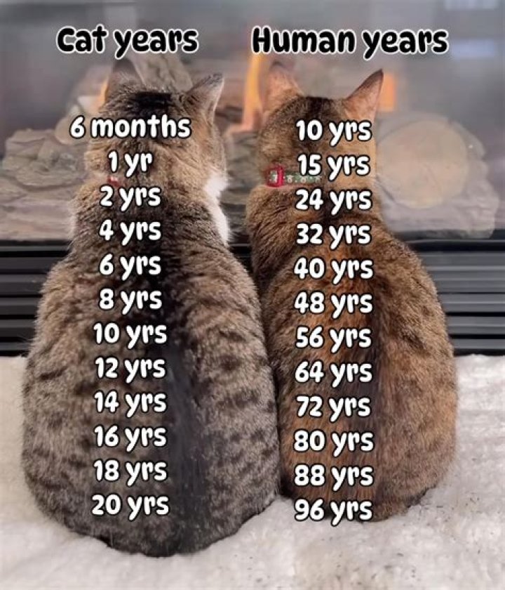 Rosemary Siemens Age: How Old Is She?
