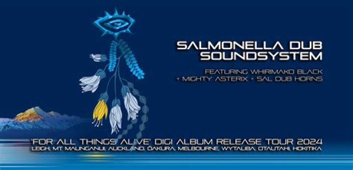 Salmonella Dub Net Worth