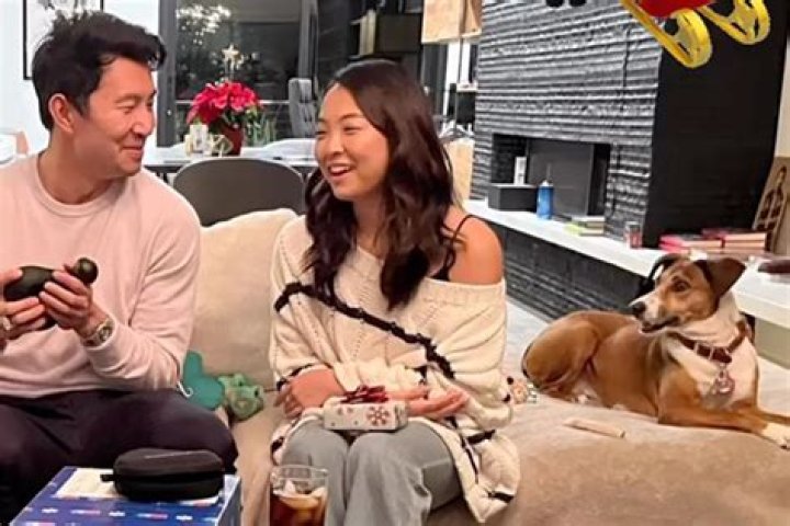 Simu Liu Celebrates First Christmas with Girlfriend Allison Hsu