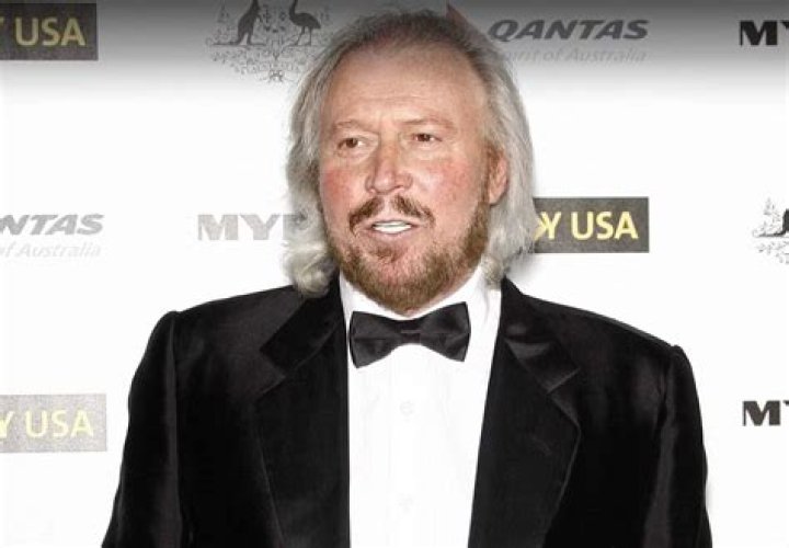 Steve Gibb Net Worth
