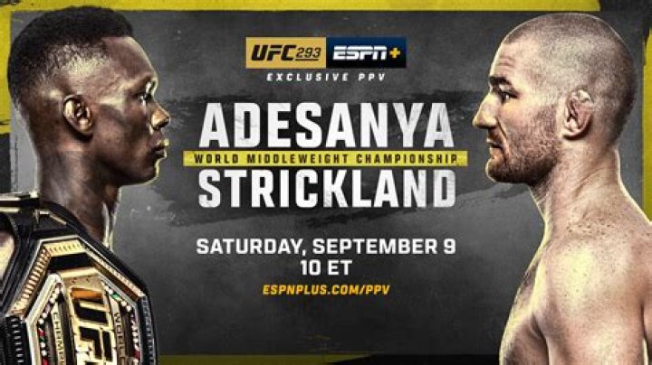 Uncovering the Controversy: Did Sean Strickland Truly Involve in a Dog Incident, or Is It Simply UFC 293 Hype? - SarkariResult