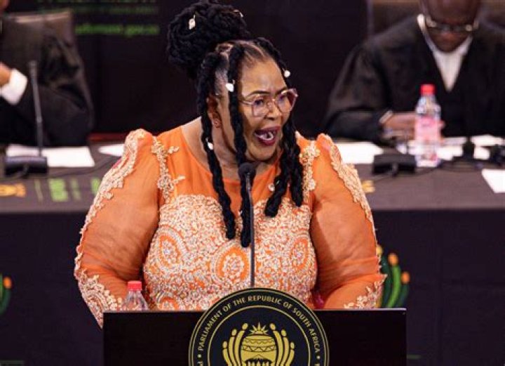 Who is Pemmy Majodina Married To? Everything To Know About The Politician
