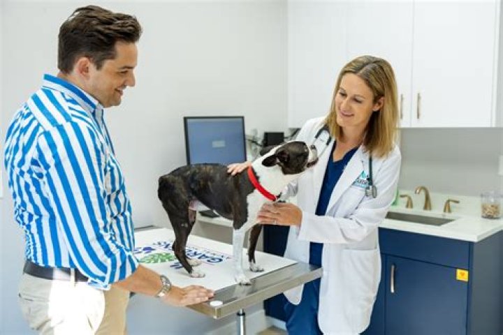 Who Is Prentiss Madden Wife? Everything About The Florida Veterinarian Arrested