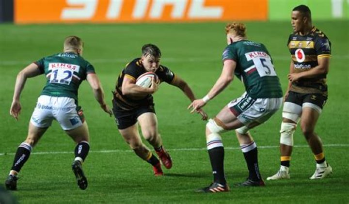 Will Hayden Net Worth