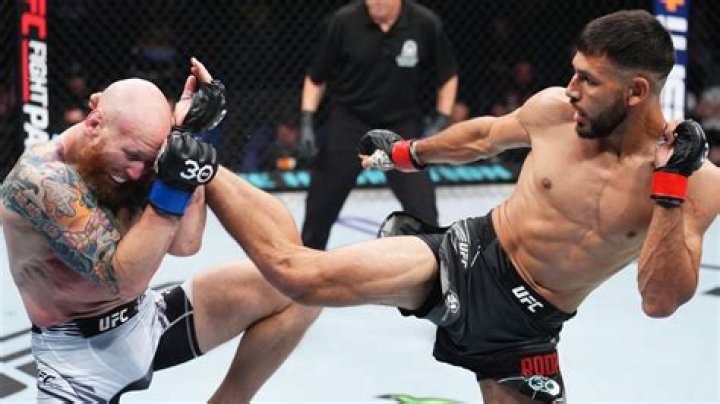 Yair Rodriguez